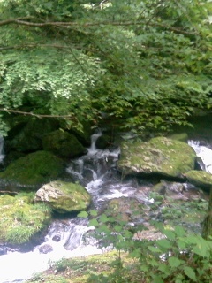 sei-river.jpg